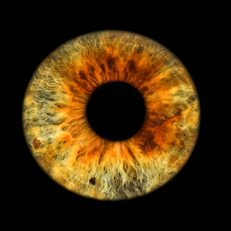 Augenvorsorge